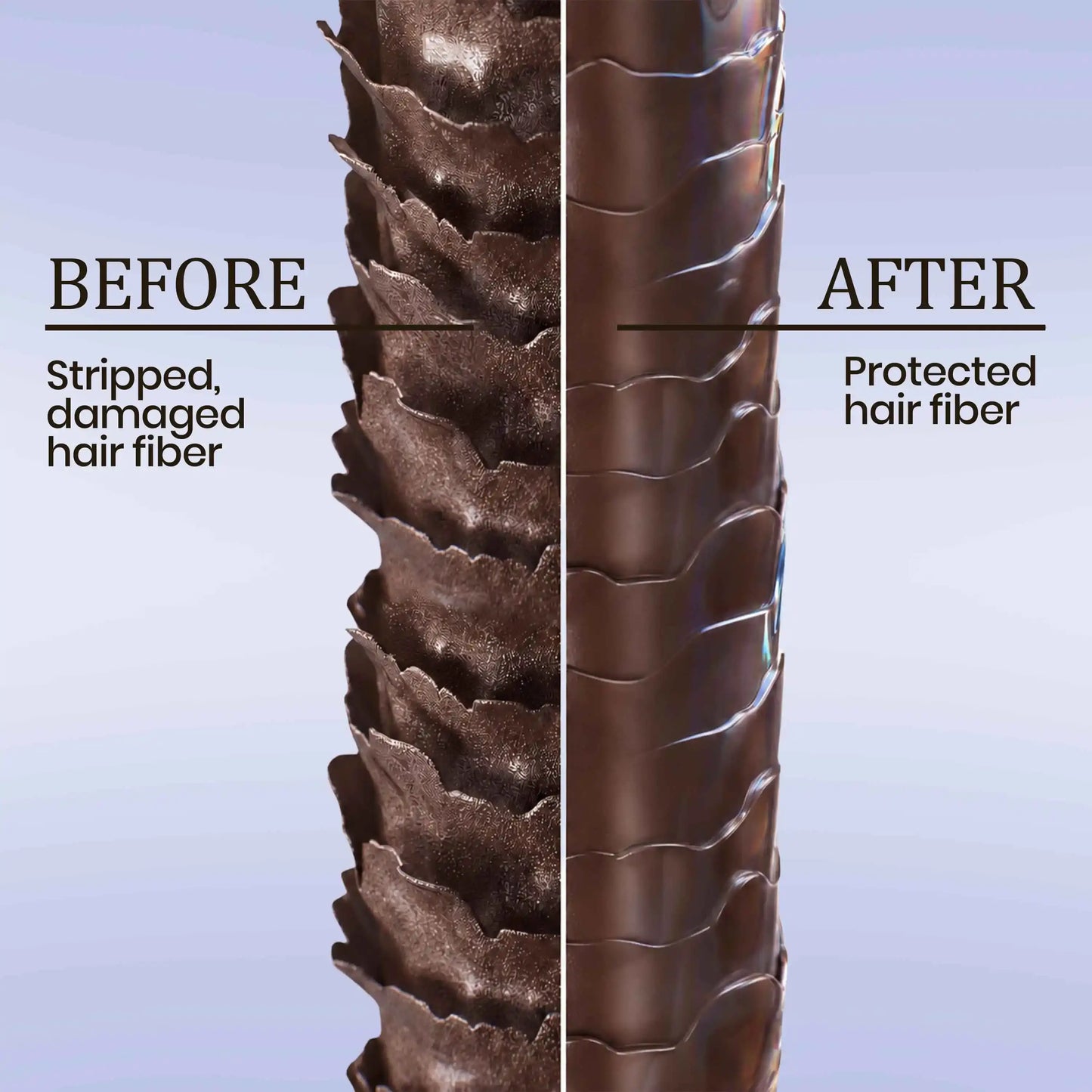 argan oil for hair before and after
