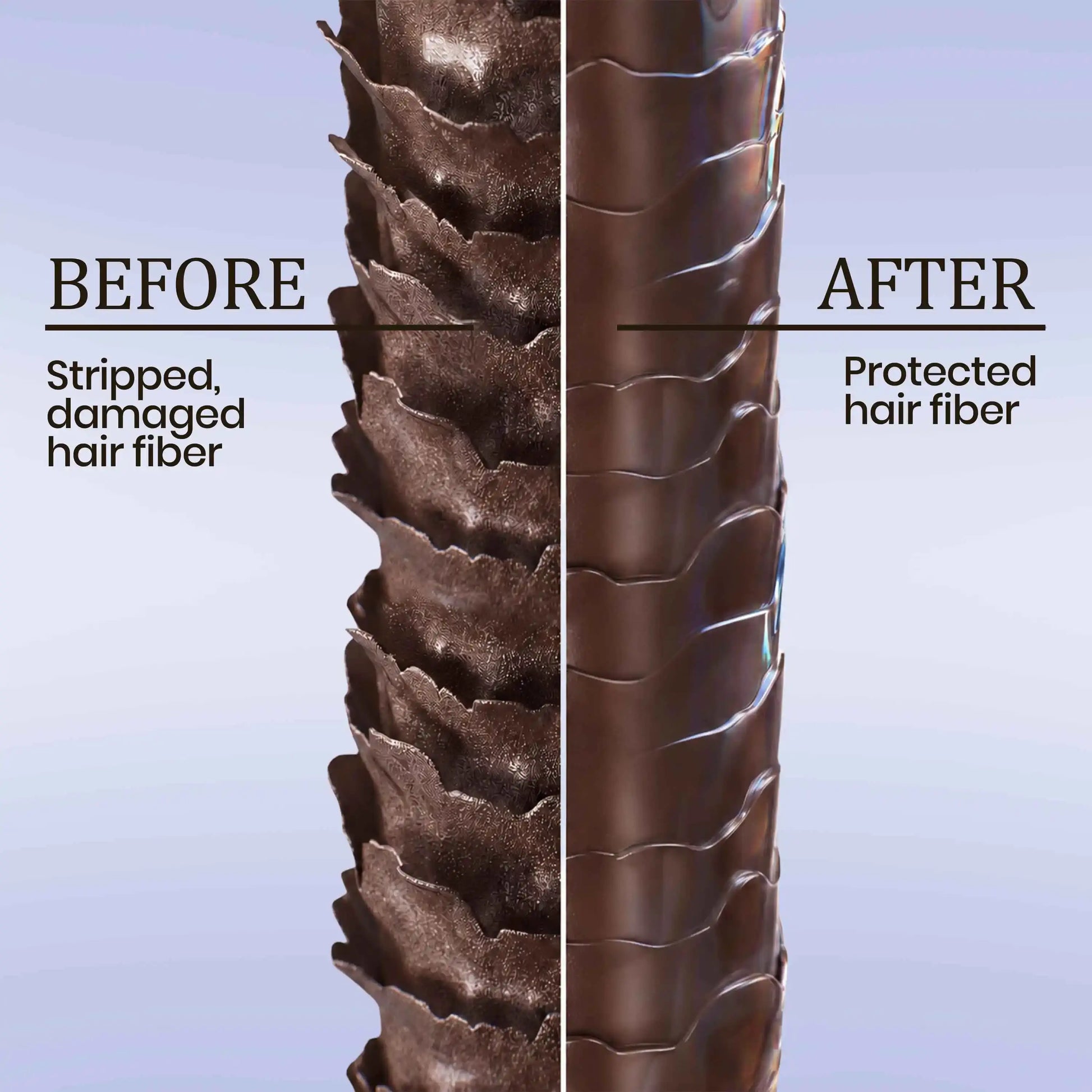 argan oil for hair before and after